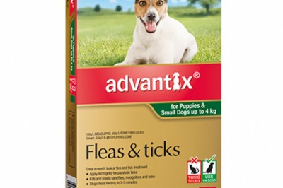 Buy Advantix For Small Dogs Up To 4Kg Green | DiscountPetCare