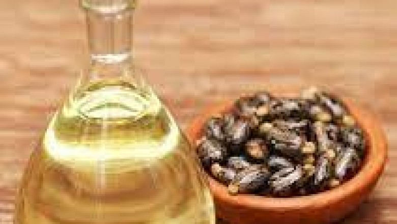 Castor Oil Market Provides Complete Analysis of Major Segments, Current Trends
