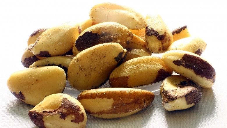 Brazil nuts Market - Global Industry Analysis 2025