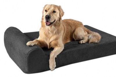 Care for Your Large Dog with an Extra Large Dog Bed