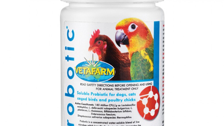 Buy Vetafarm Probiotic For Pigeons & Caged Birds | DiscountPetCare