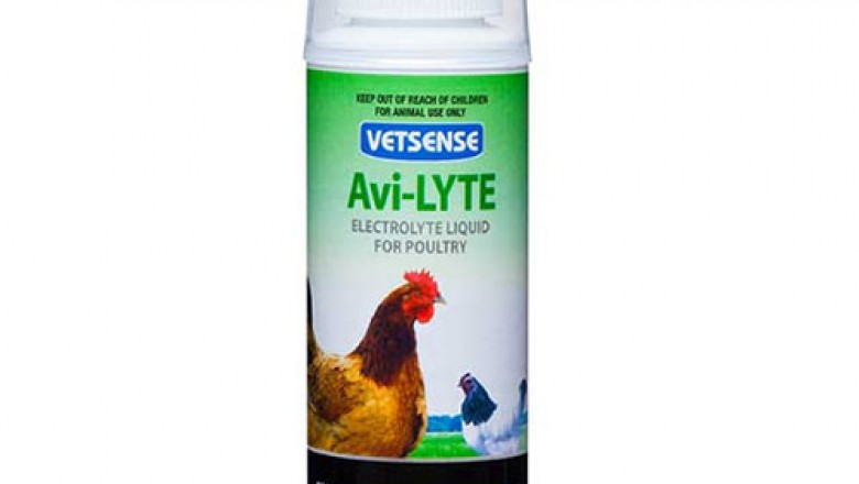 Buy Vetsense Avi-Lyte Liquid Electrolyte For Bird | DiscountPetCare