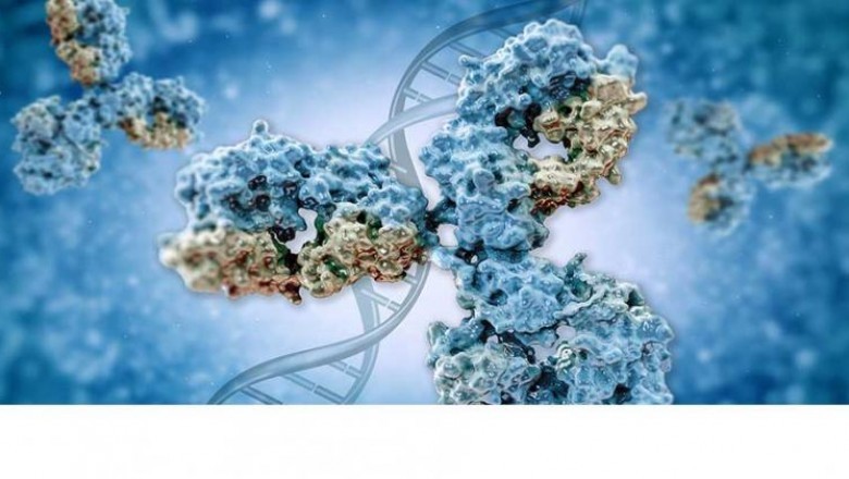Recombinant Therapeutic Antibodies and Proteins Completely Eliminate Ethical Issues As There Is No Need for Animal Immunization