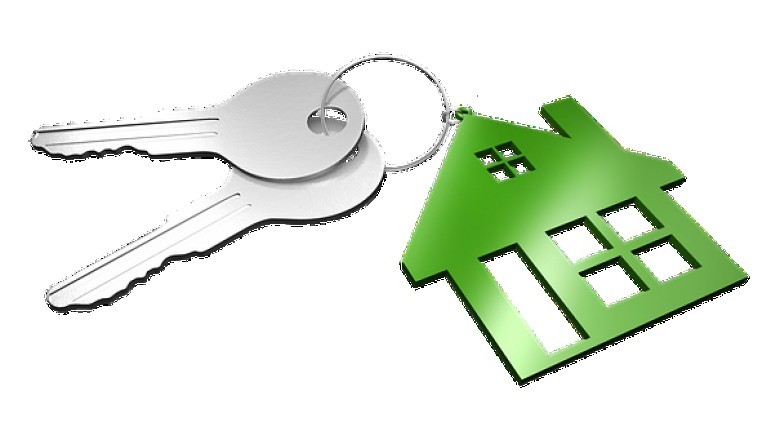 The Tribune World Leading News Provider | thetribuneworld for the best