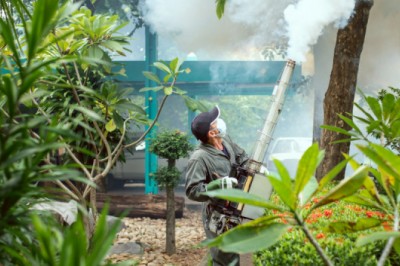 How to Keep Mosquitoes Away from your backyard and Pool