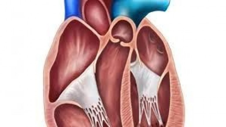 Transcatheter Mitral Valve Repair and Replacement Market Trends Analysis-2027