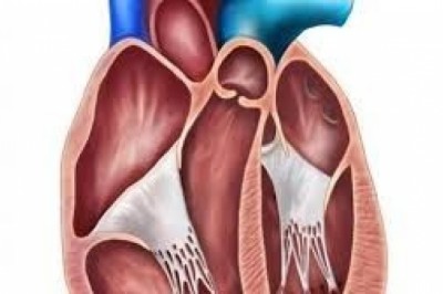Transcatheter Mitral Valve Repair and Replacement Market Trends Analysis-2027