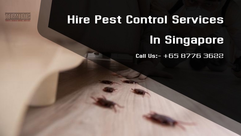 Why Is It Important To Have Pest Control Services For Cleaning And Sanitation?