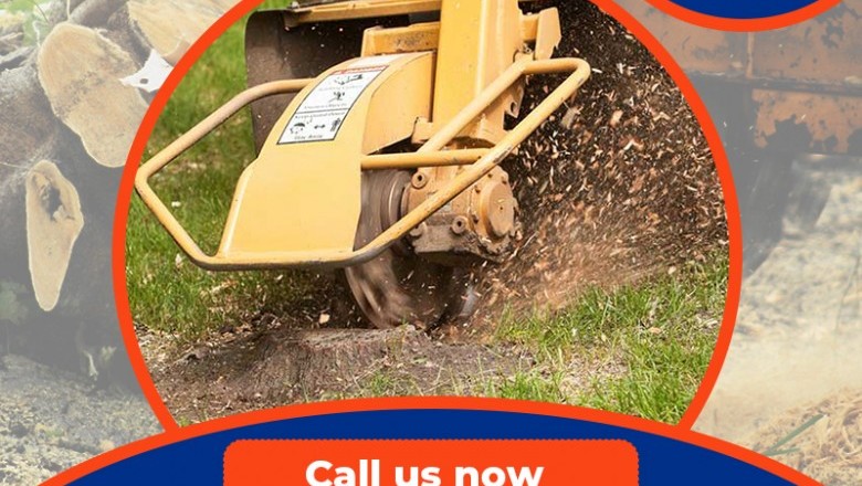 stump grinding jacksonville