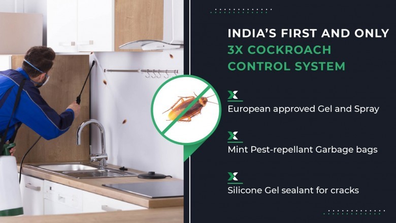 Best pest control for cockroaches