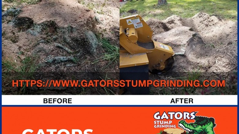 Gators Stump Grinding Service