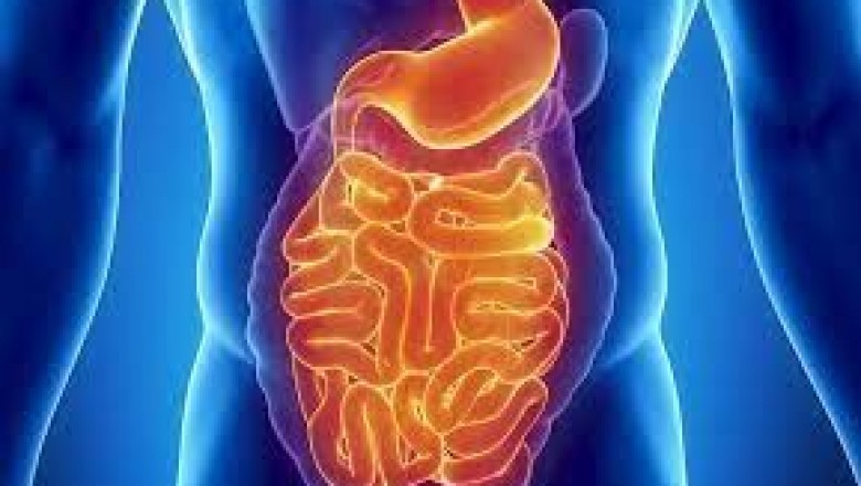 Growth In Sales Of Visceral Pain Treatment Market To Push Revenue Growth In The Market