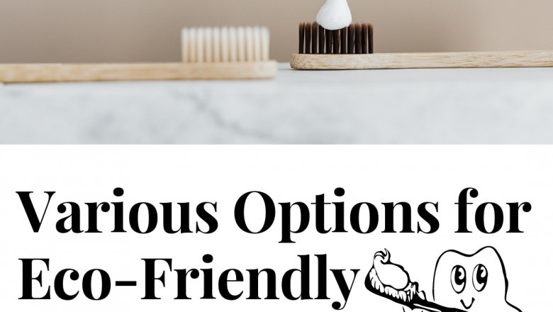 Various options for Eco-friendly Toothbrushes