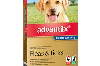 Buy Advantix For Extra Large Dogs Over 25Kg 6 Pack Blue | DiscountPetCare