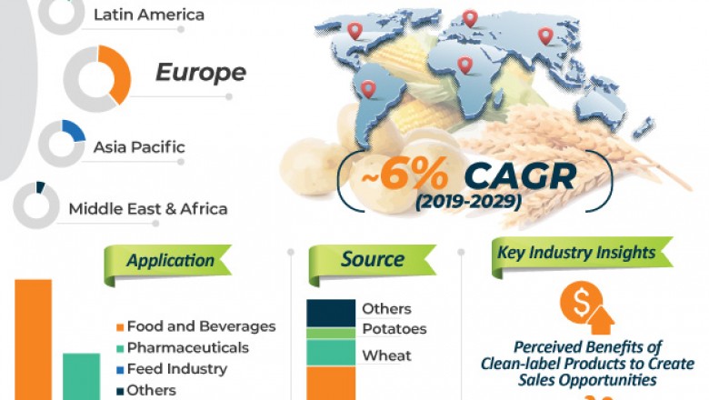 Clean Label Starch Market- Top Companies, Developments and Demand, 2019-2029