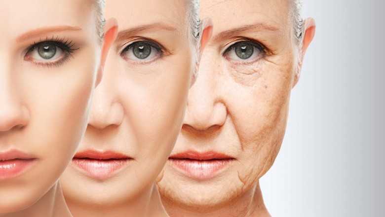 The global Skin Replacement Market is segmented on the basis of material used, end user, and geography.