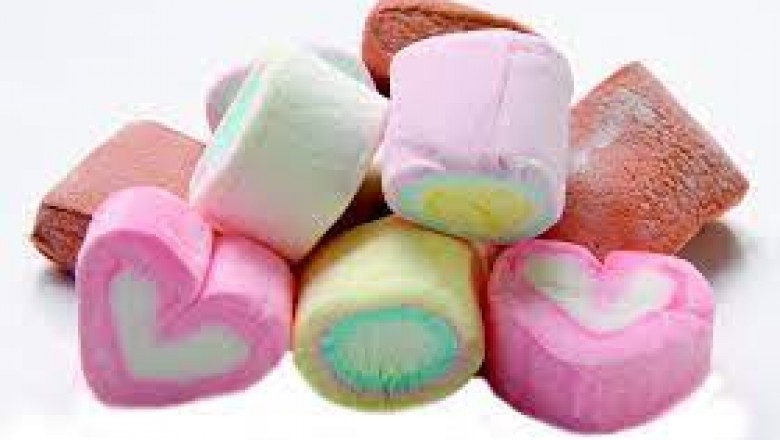 Aerated Confectionery Market Fermentation, Research and Opportunity Assessment (2018-2028)
