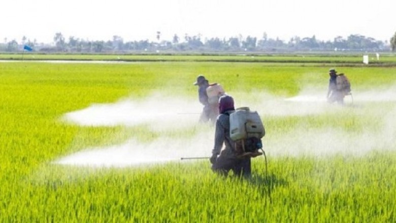 Agrochemical Intermediates Market (4.55% CAGR) 2015-2030: Global Industry Size, Share, Growth, Demand & Supply, Trends and Forecast