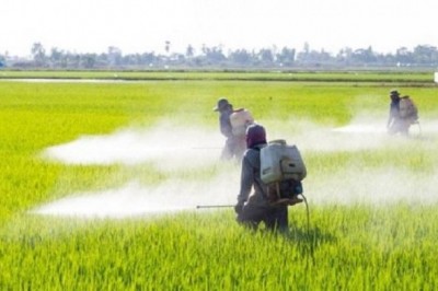 Agrochemical Intermediates Market (4.55% CAGR) 2015-2030: Global Industry Size, Share, Growth, Demand & Supply, Trends and Forecast