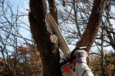 How Handyman for Senior Citizens Take the Burden Off You?