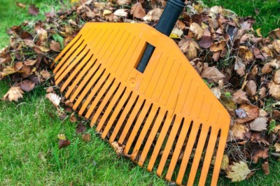 Top 4 Reasons Why Older Adults Should Get Gardening Services