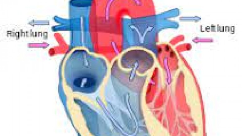 Cardiologists Serving the Houston Area |modernheartandvascular visit our website