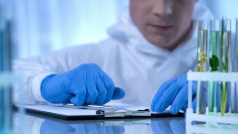 Food product development and culinary arts