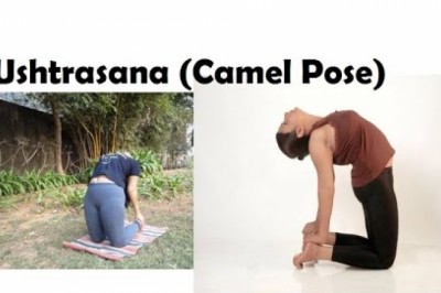 How to do Camel Posture (Ushtrasana) in Yoga | Superyogis