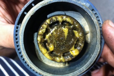 Top 100 Oil, Coolant & Liquids in Mackay