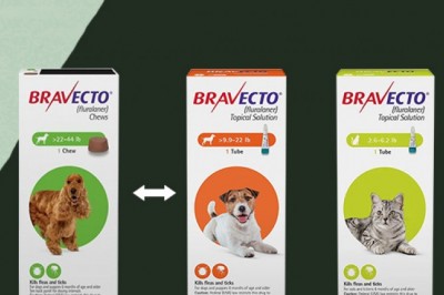 Bravecto Chew or Spot-On: Which Is the Better Solution for Fleas and Ticks? || CanadaVetExpress