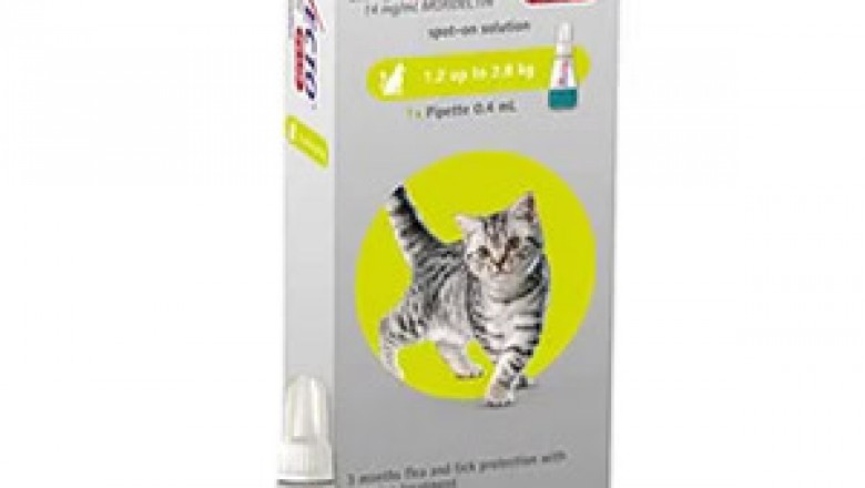 Buy 3 Doses +Get 1 FREE : Bravecto Plus For Cats Hurry Up Offer Expires Soon