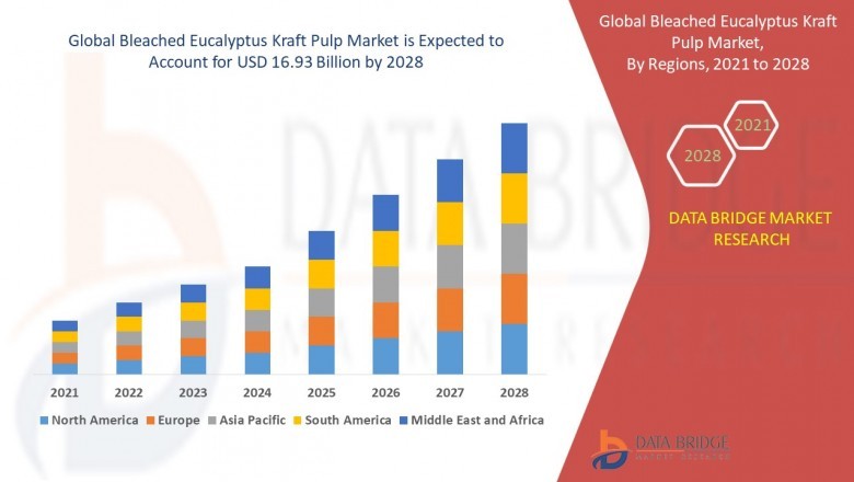 Bleached Eucalyptus Kraft Pulp Market 2021 – Top Manufacturers, Latest Trends, Future Prospects and Forecast 2028