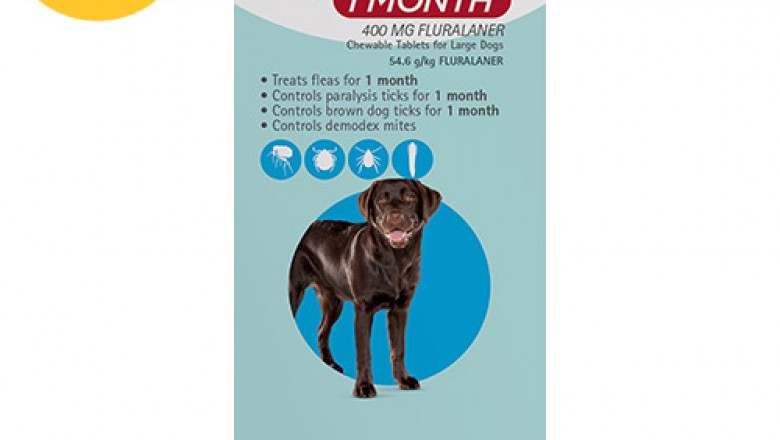Buy Bravecto For Large Dogs 20-40Kg (Blue) Online | DiscountPetCare