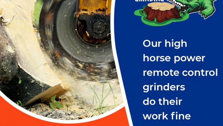 Gators Stump Grinding Services Jacksonville Fl