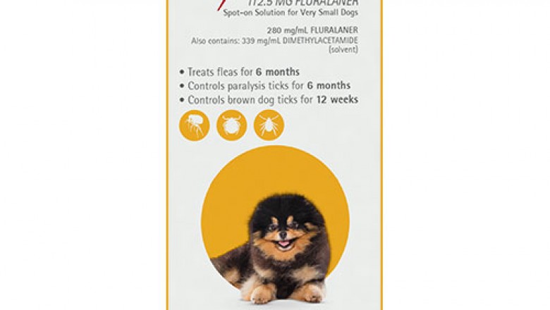 Buy Bravecto Spot On For X-Small Dogs 2-4.5 Kg Yellow | DiscountPetCare