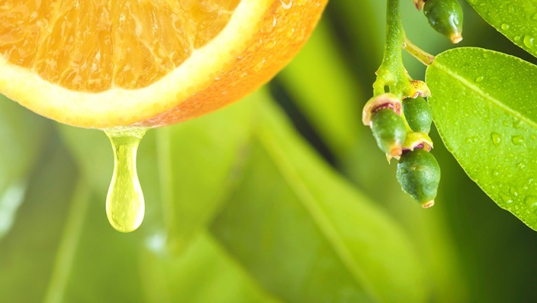 Citrus Flavor Market Companies are Finding it Difficult to Weather the Storm with the Current Pandemic that affects all sectors of economy worldwide