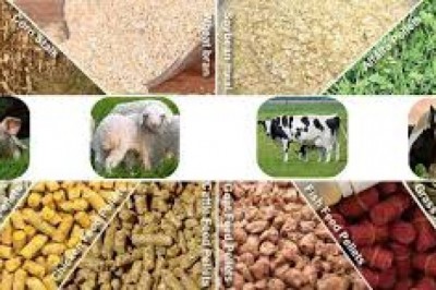Global Animal Nutrition Market by Product Type bySpecies Market by Application by Geographyand forecast 2021-2027