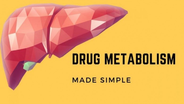 Metabolism Drugs Market Size Share Trends Forecast Opportunity Analysis 2026