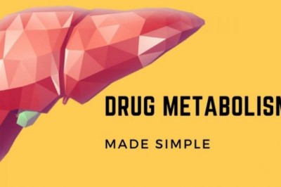 Metabolism Drugs Market Size Share Trends Forecast Opportunity Analysis 2026