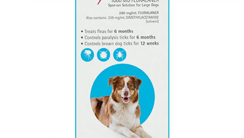 Buy Bravecto Spot On For Large Dogs 20-40 Kg Aqua | DiscountPetCare