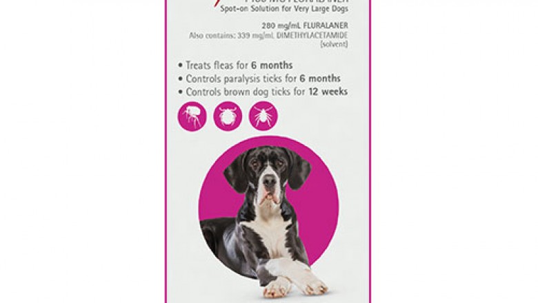 Buy Bravecto Spot On For X Large Dogs 40-56 Kg Pink | DiscountPetCare