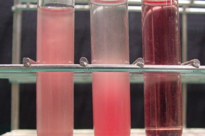 Here Are Some Things You Should Know About Blood Molecular Biology Tubes.