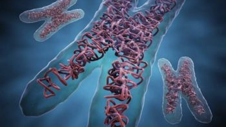Recombinant Therapeutic Antibodies and Proteins Resolve Ethical Issues Since Animal Immunization is No Longer Required