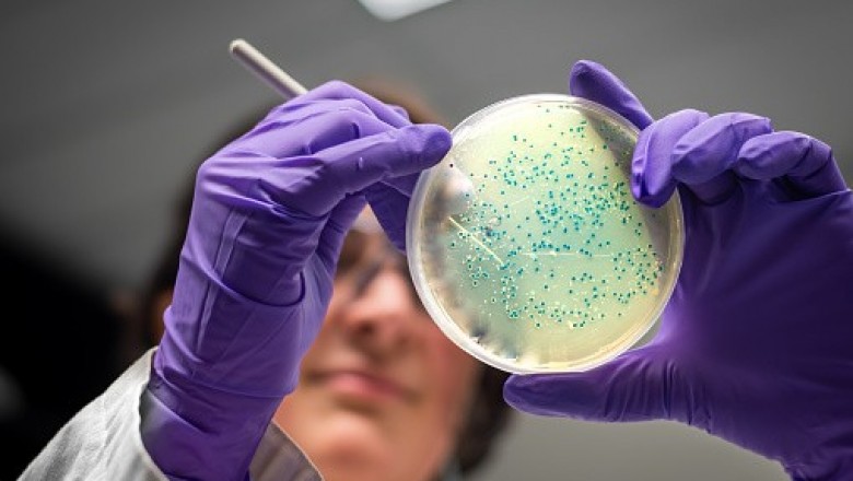 15 Ways To Introduce Gram Positive Bacterial Infections Market.