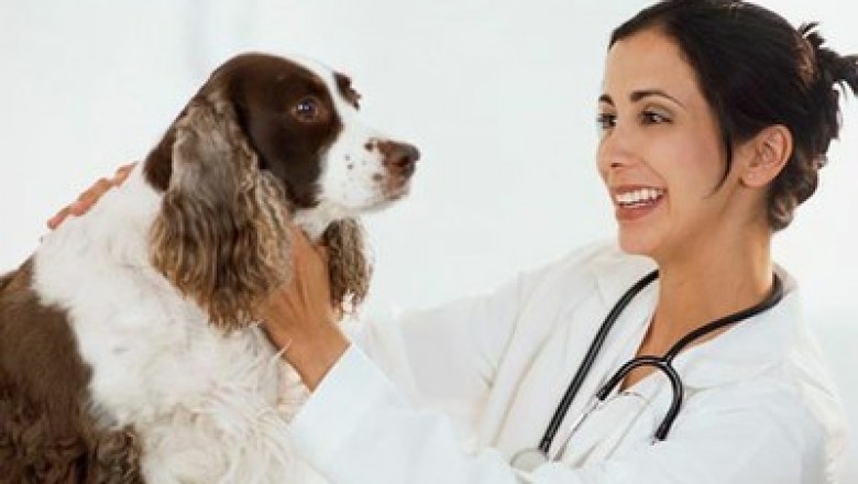 In North America, Companion Animal Drugs are used to treat, manage, or alleviate disease in companion animals.