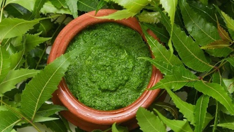 India Neem Extracts Market Size, Share, Growth, Trend & Forecast 2027