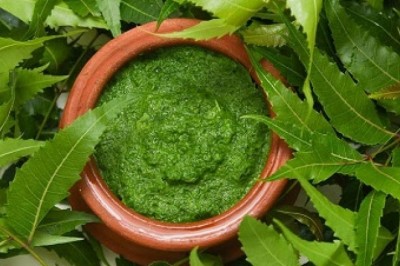 India Neem Extracts Market Size, Share, Growth, Trend & Forecast 2027