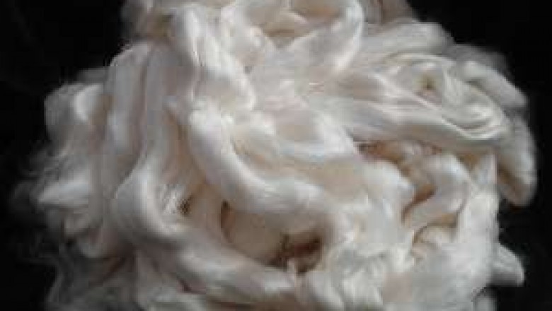 Global Rayon Fibers Market Size, Manufacturers 2021-2027