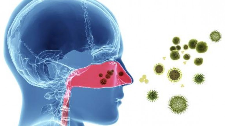 Allergic Rhinitis Treatment Market | Key drivers and restraints impacting market growth