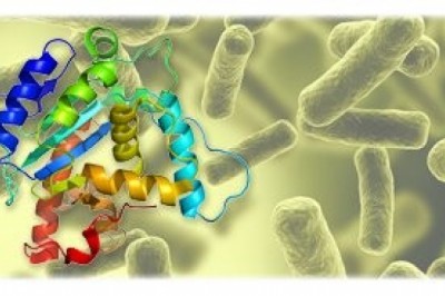 What is the meaning of recombinant protein?